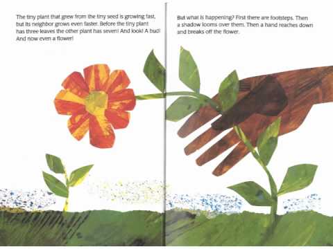 The Tiny Seed : Lire et écouter des Livres en Anglais (English Talking Book)