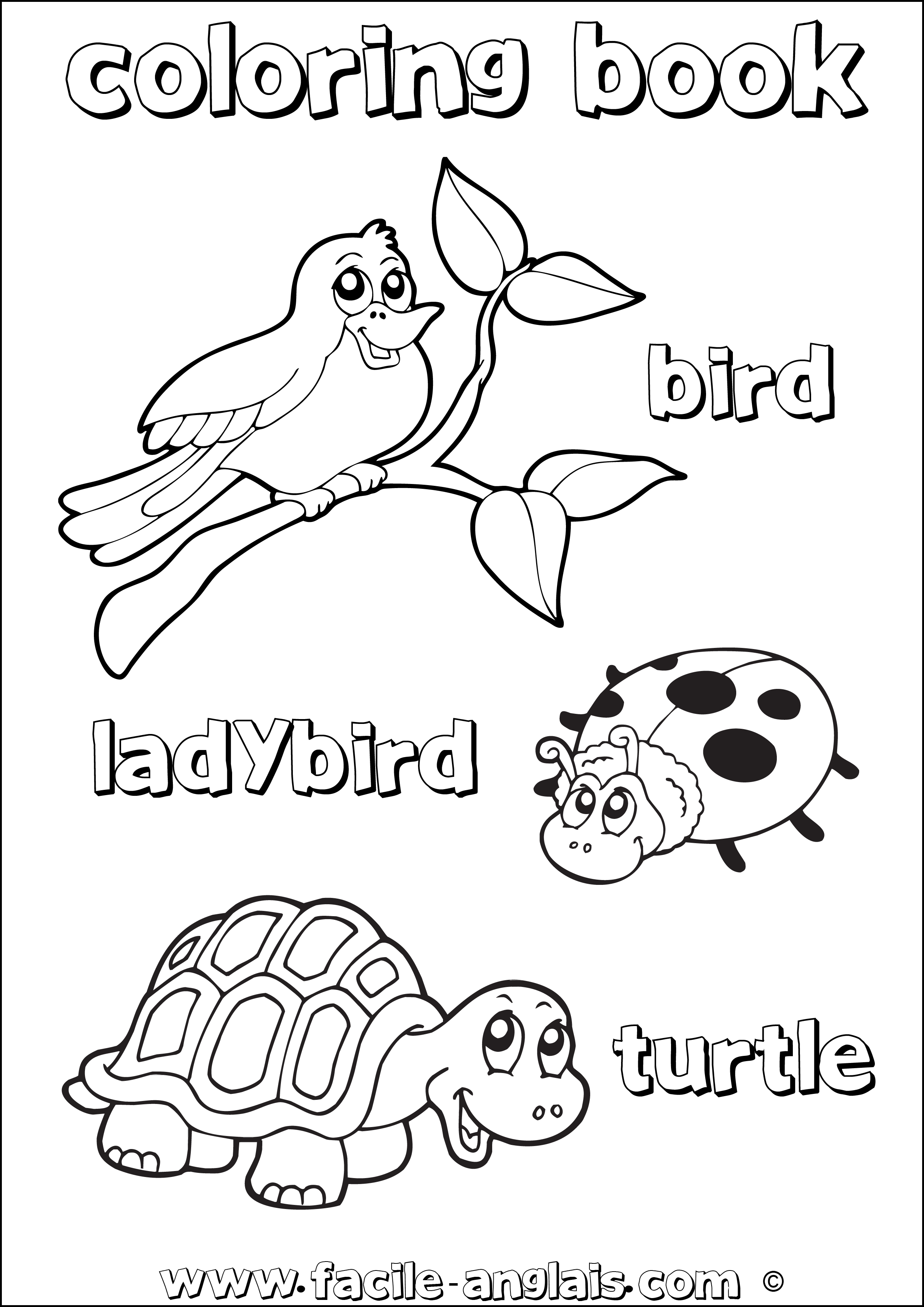 coloring book turtle ladybird bird