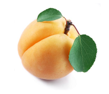 Apricot