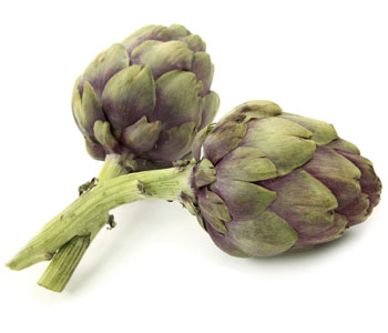 Artichoke