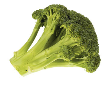 Broccoli