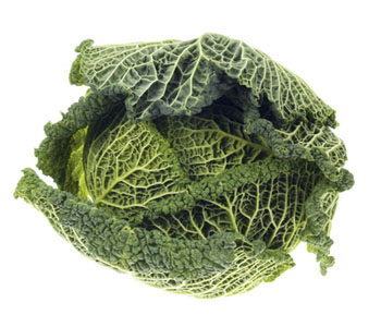 Cabbage