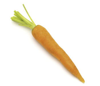 Carrot