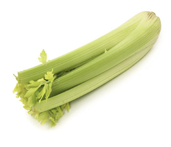 Celery