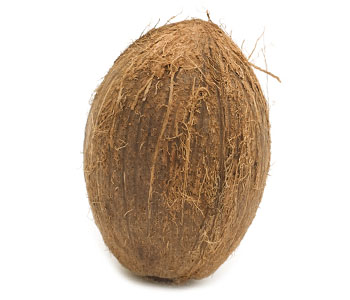 Coconut