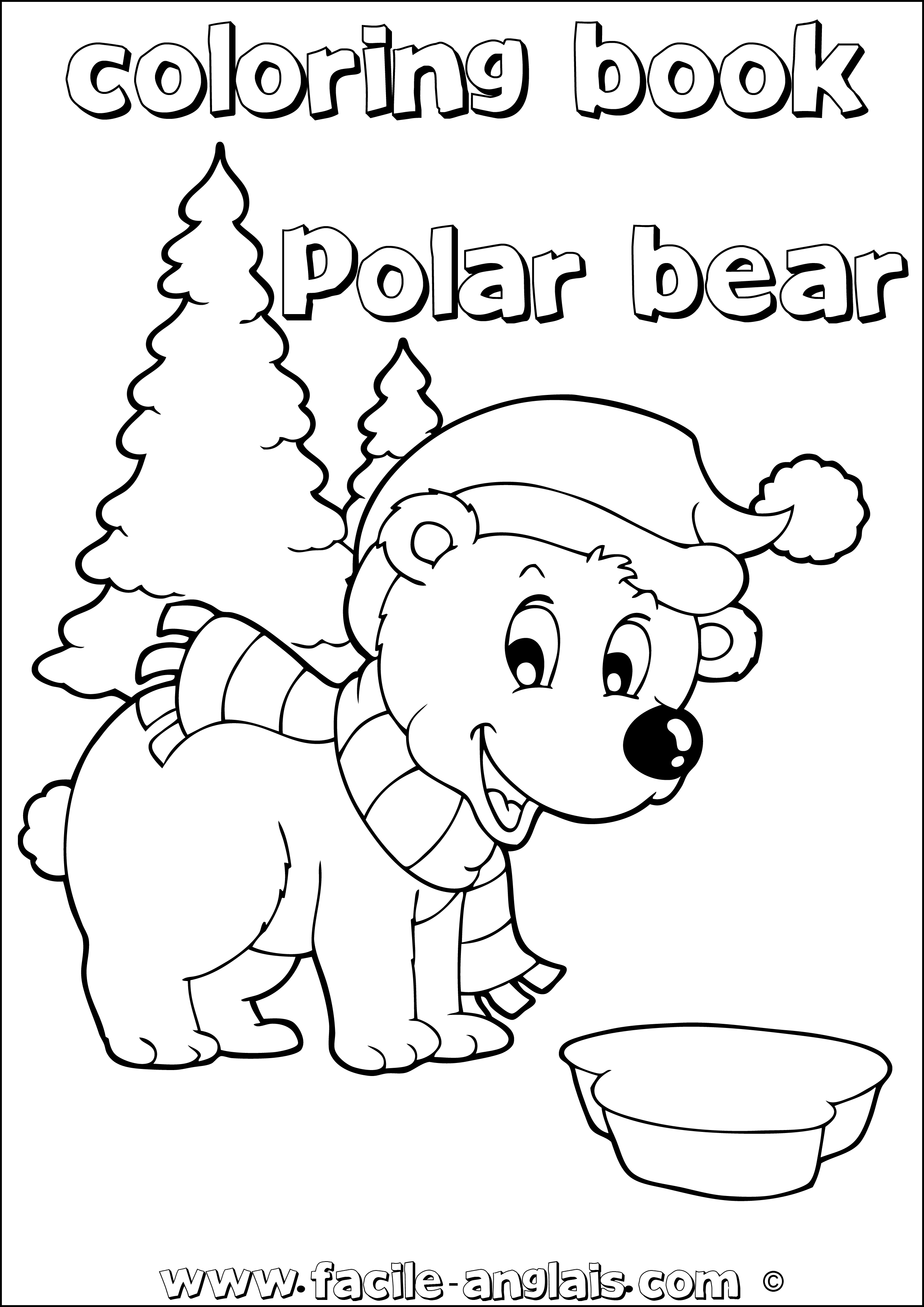 coloring book Polar bear