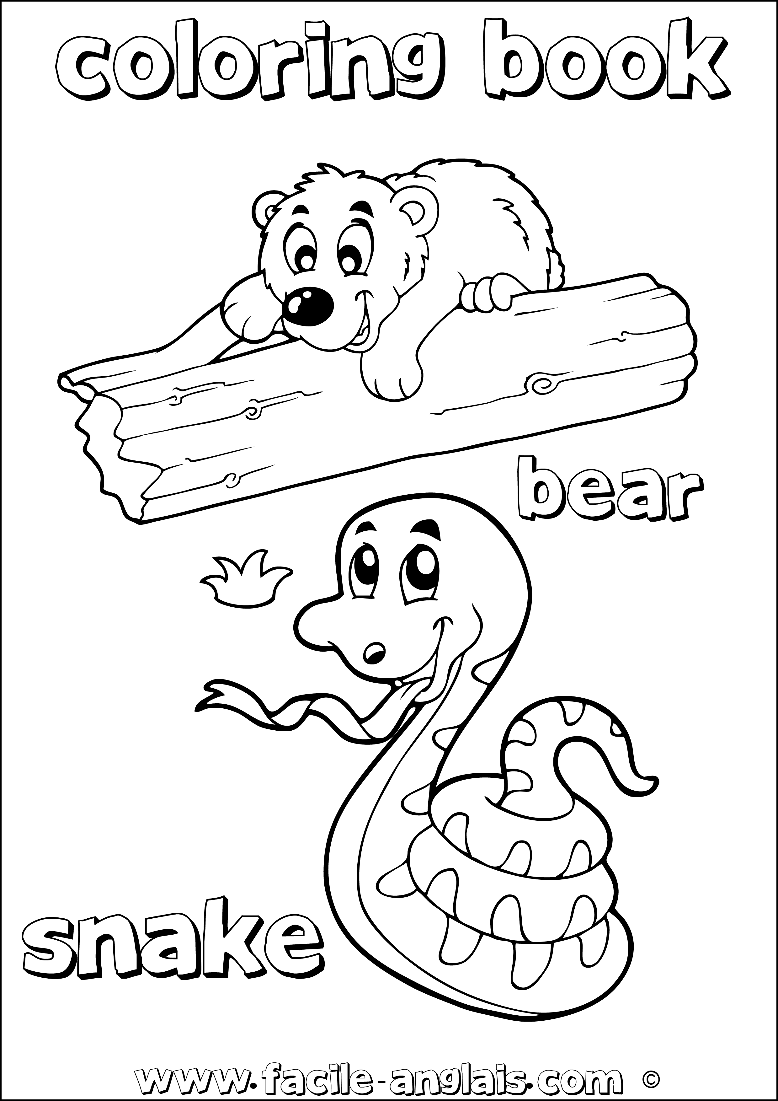 coloring book bear snake