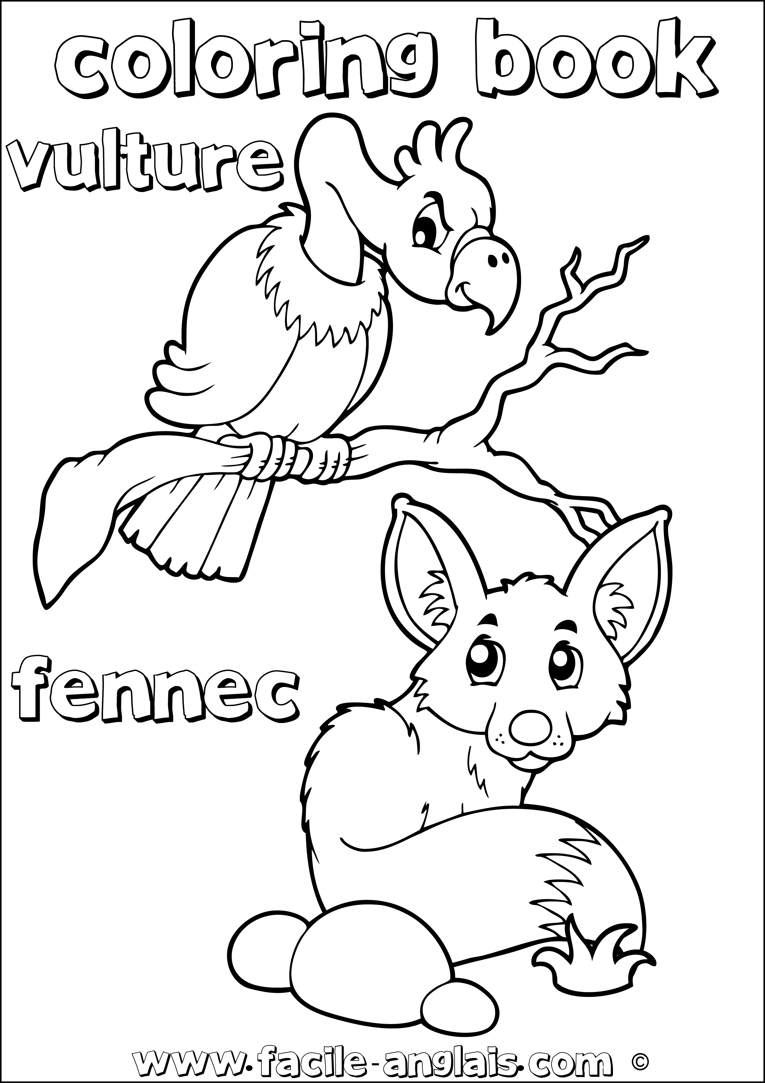 coloring book fennec vulture