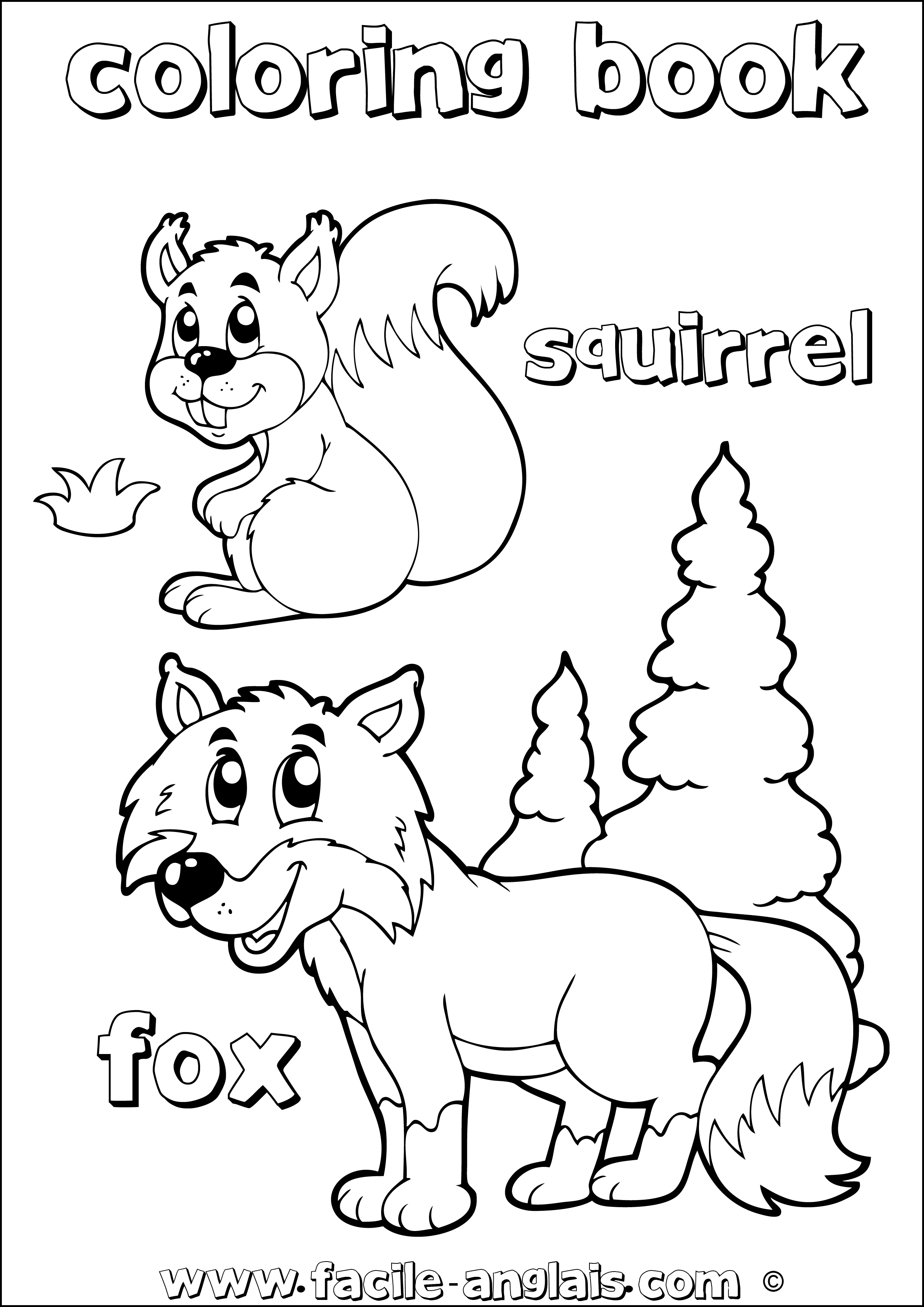coloring book fox squirrel