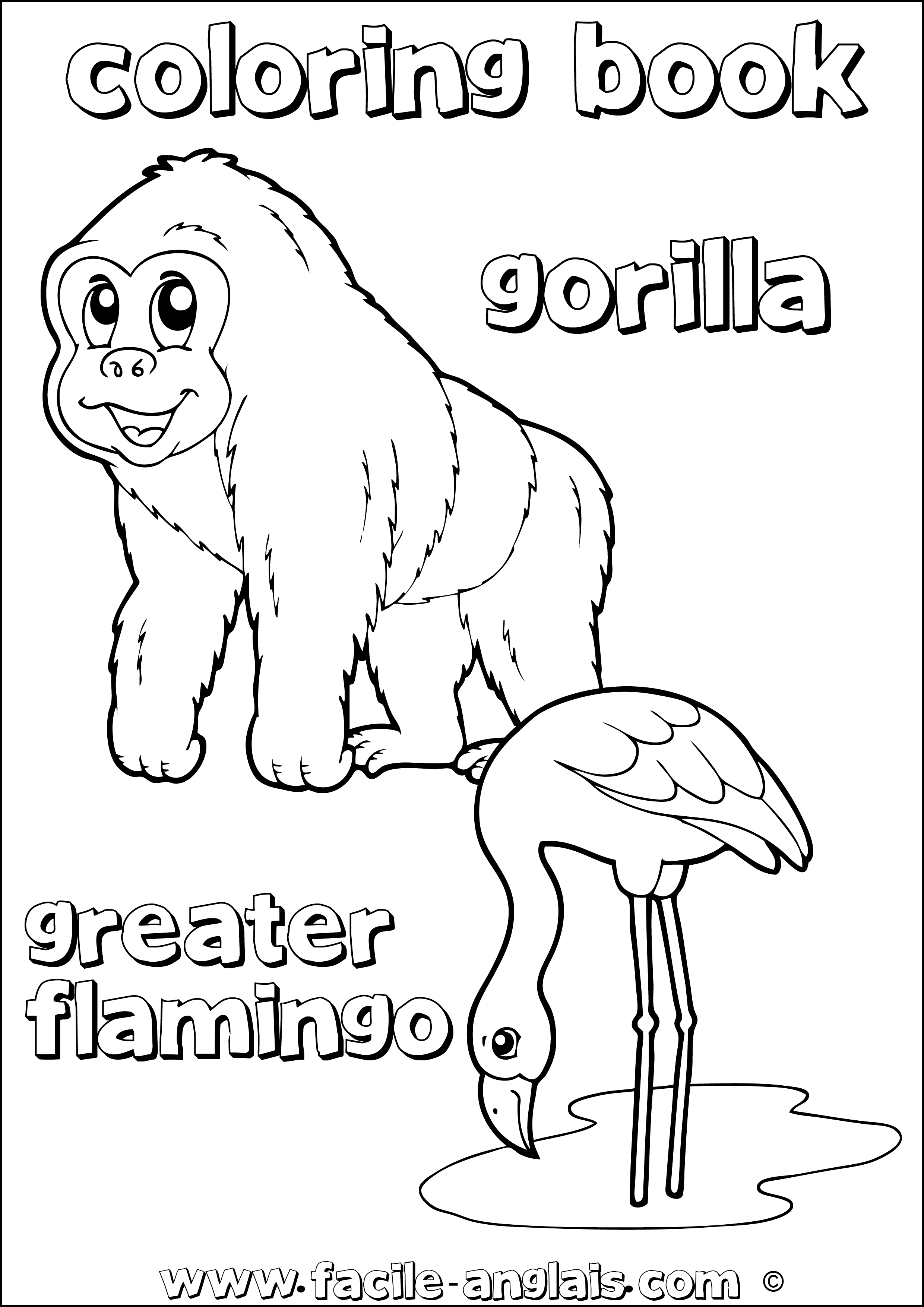 coloring book greater flamingo gorilla