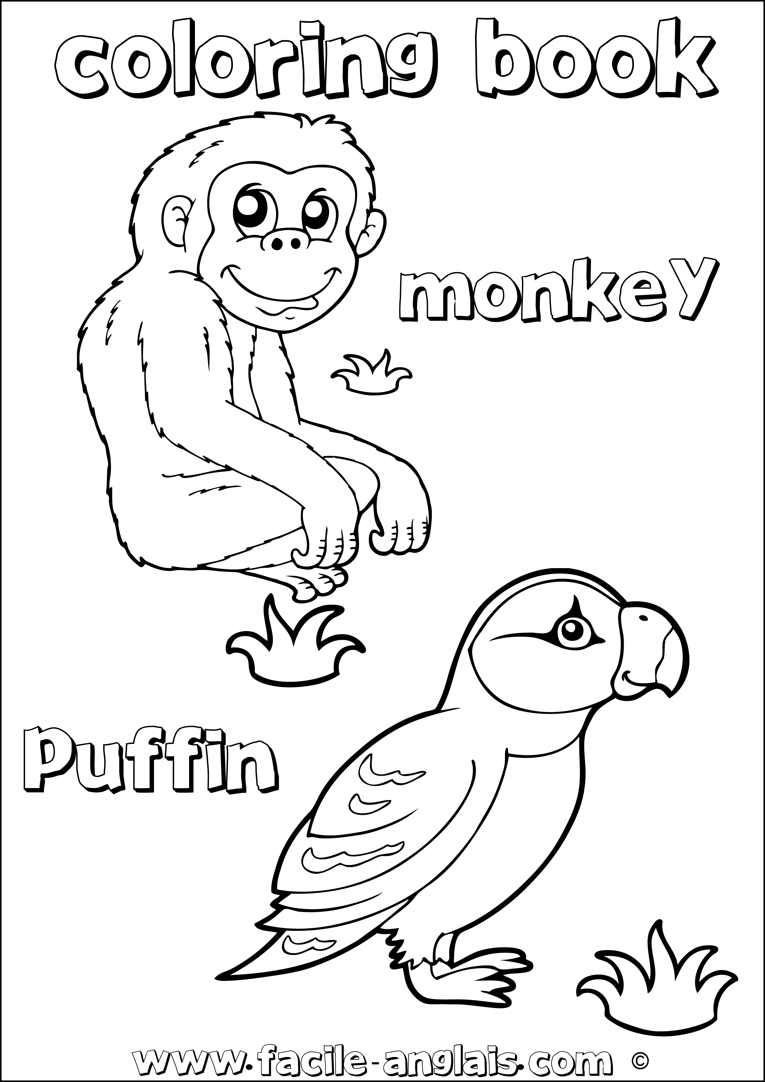 coloring book monkey macareux puffin