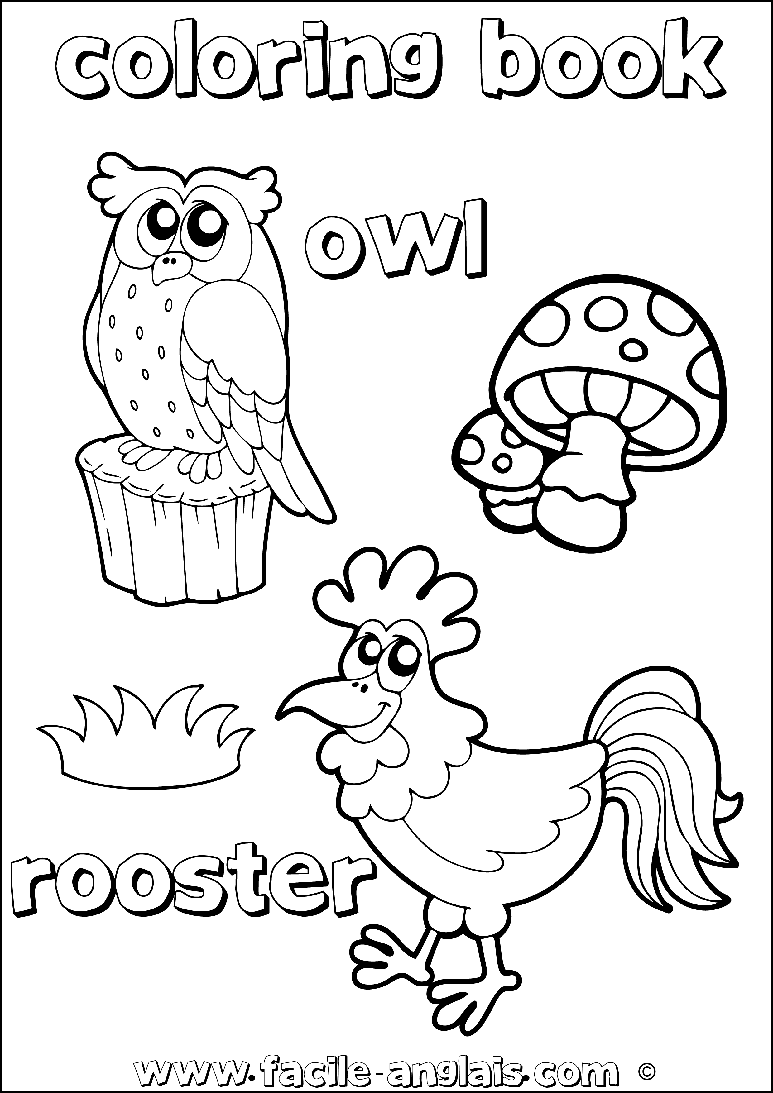 coloring book owl rooster