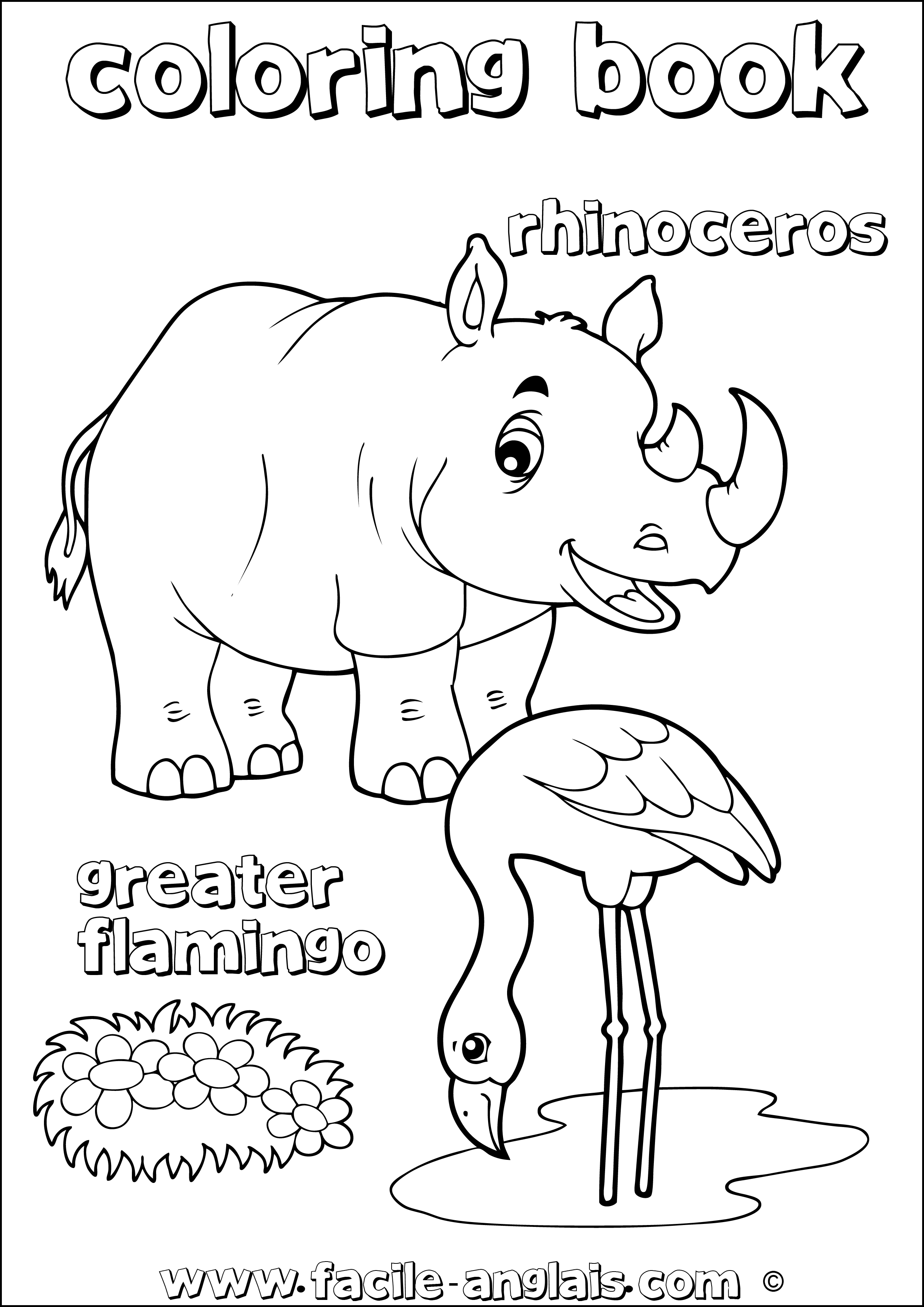 coloring book rhinoceros greater flamingo