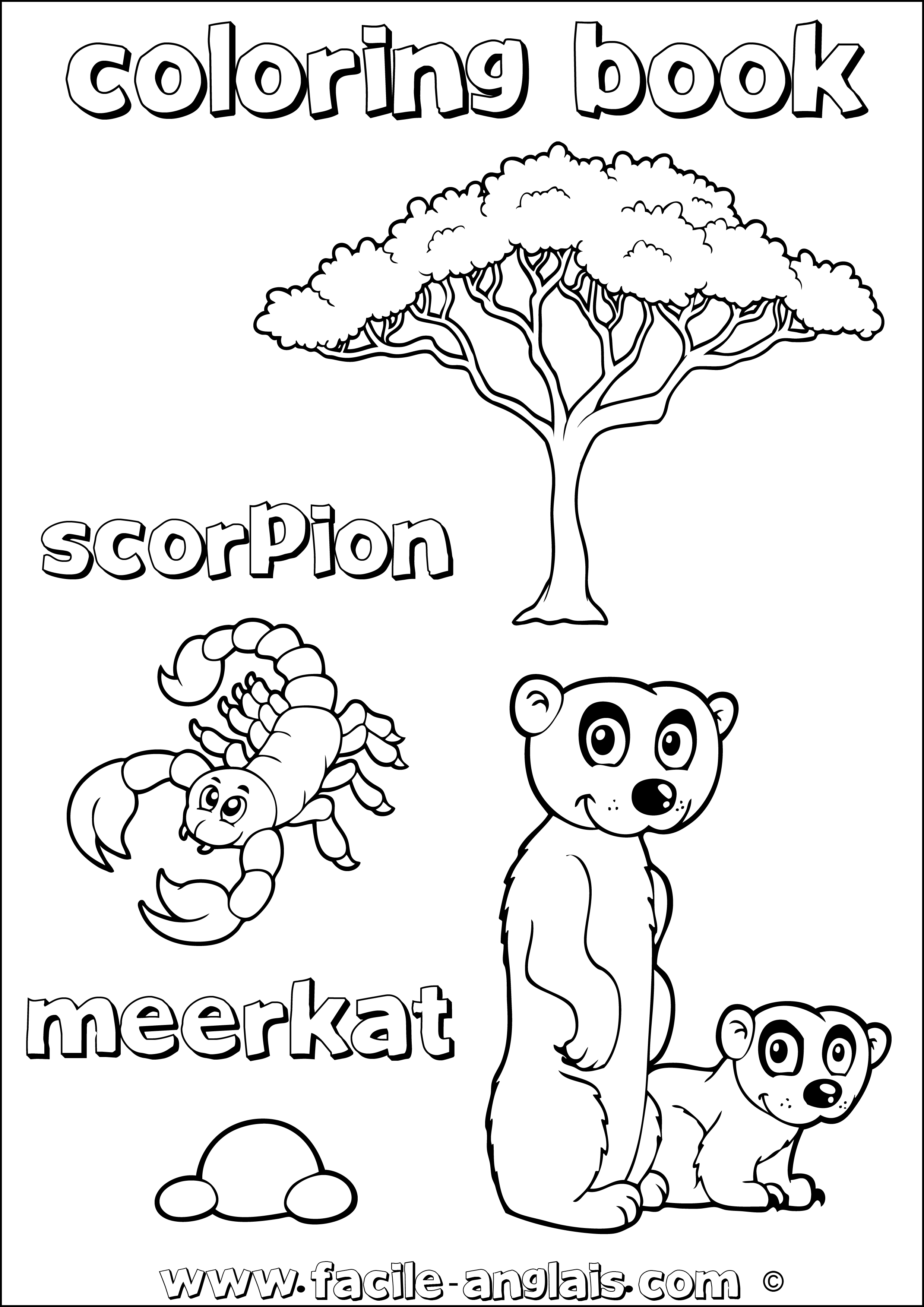 coloring book scorpion suricate meerkat