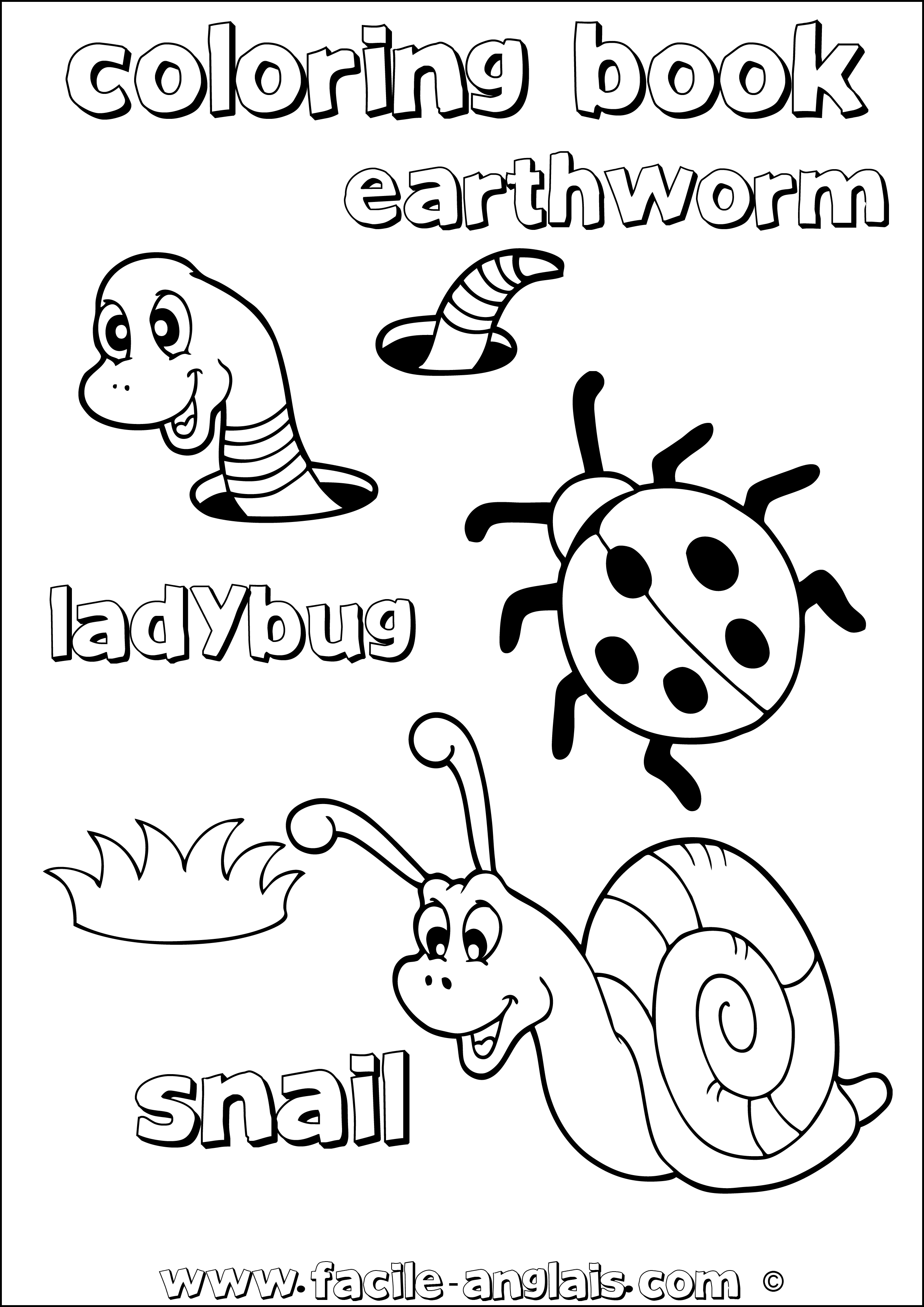 coloring book snail ladybug earthworm