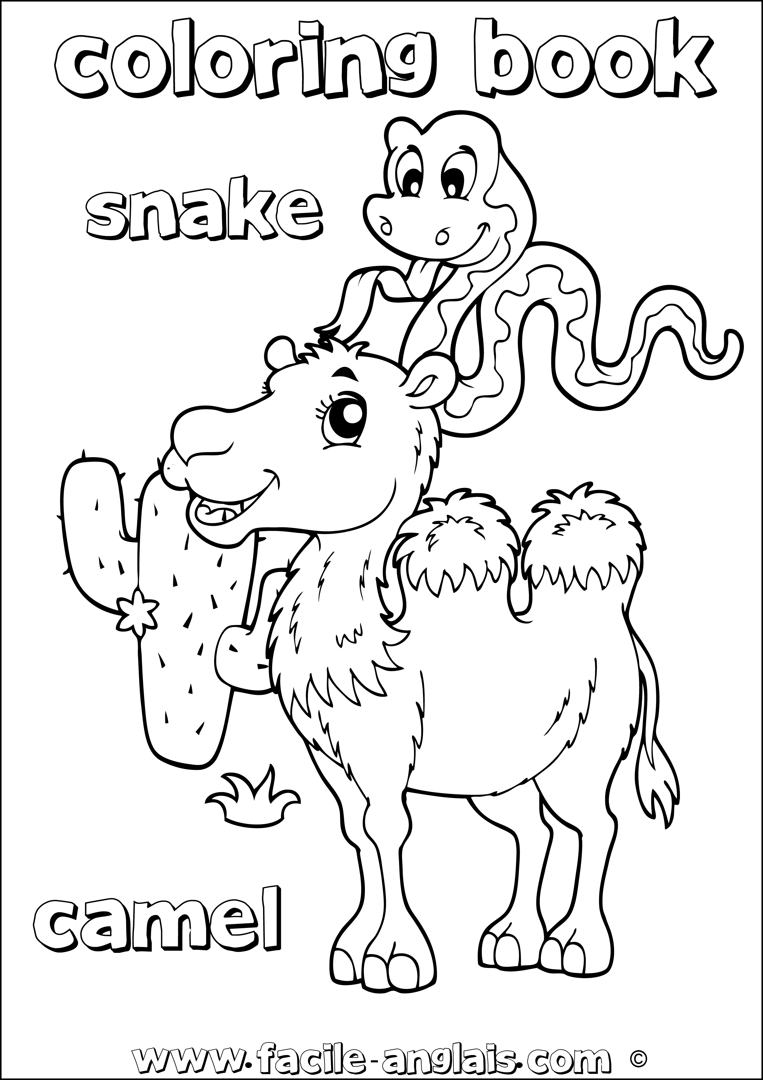 coloring book greater snake camel