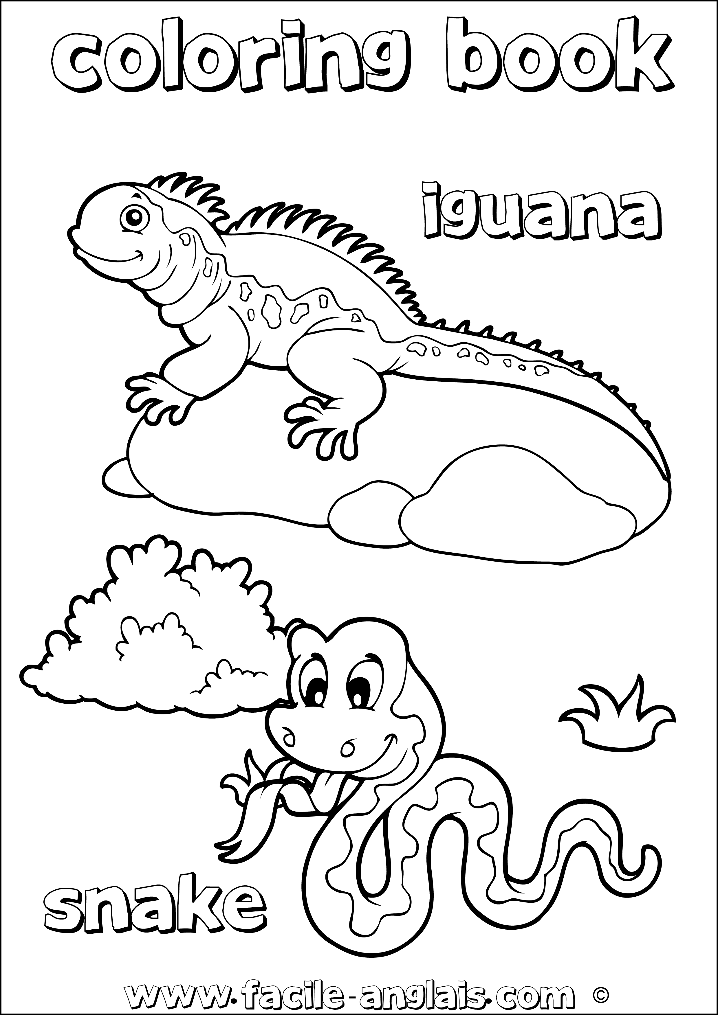 coloring book snake iguana