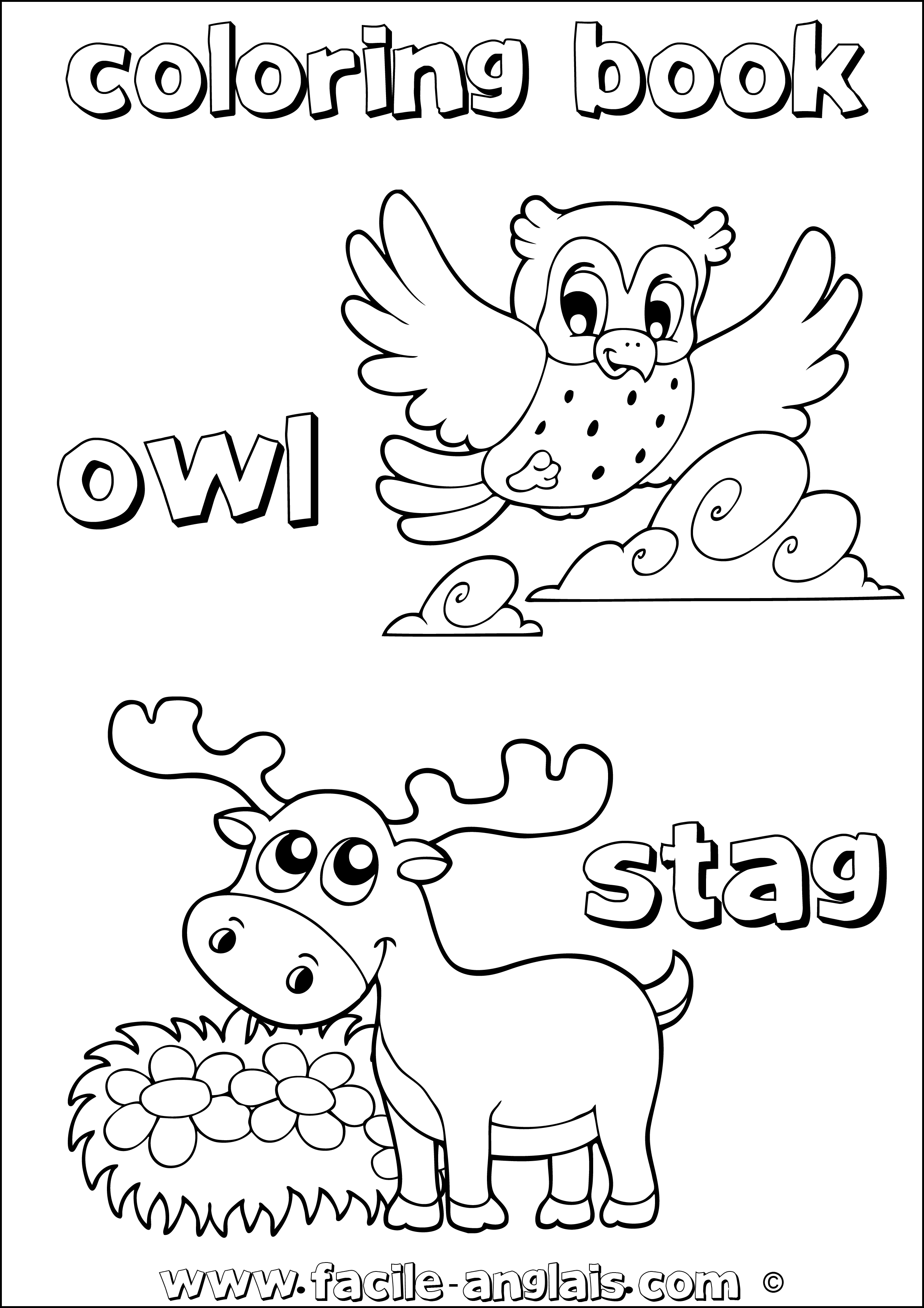 coloring book book stag owl