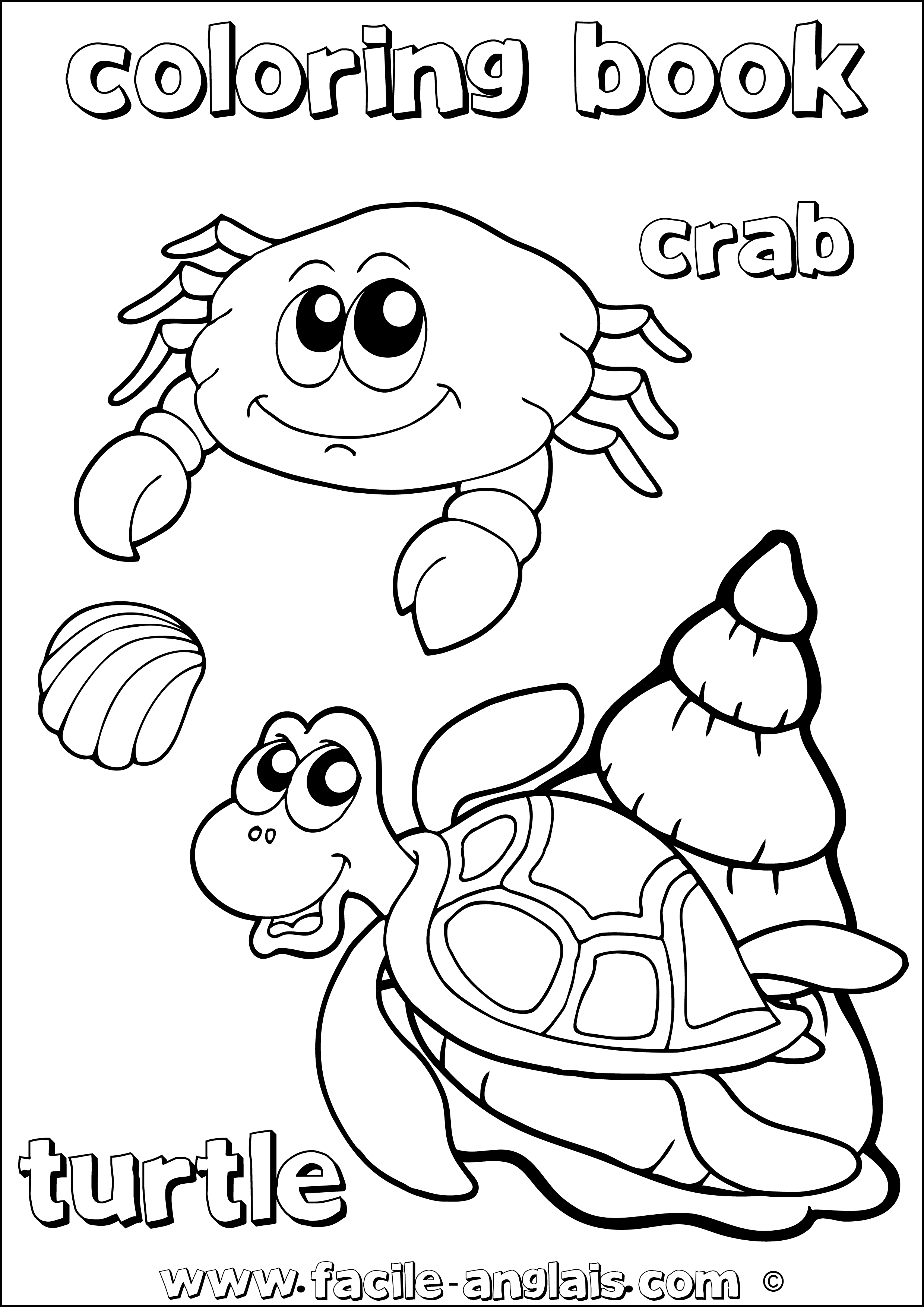 coloring book turtle Crab