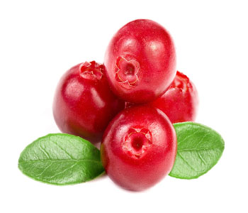 Cranberry(ies)