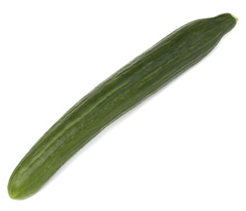 Cucumber