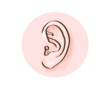 Ear