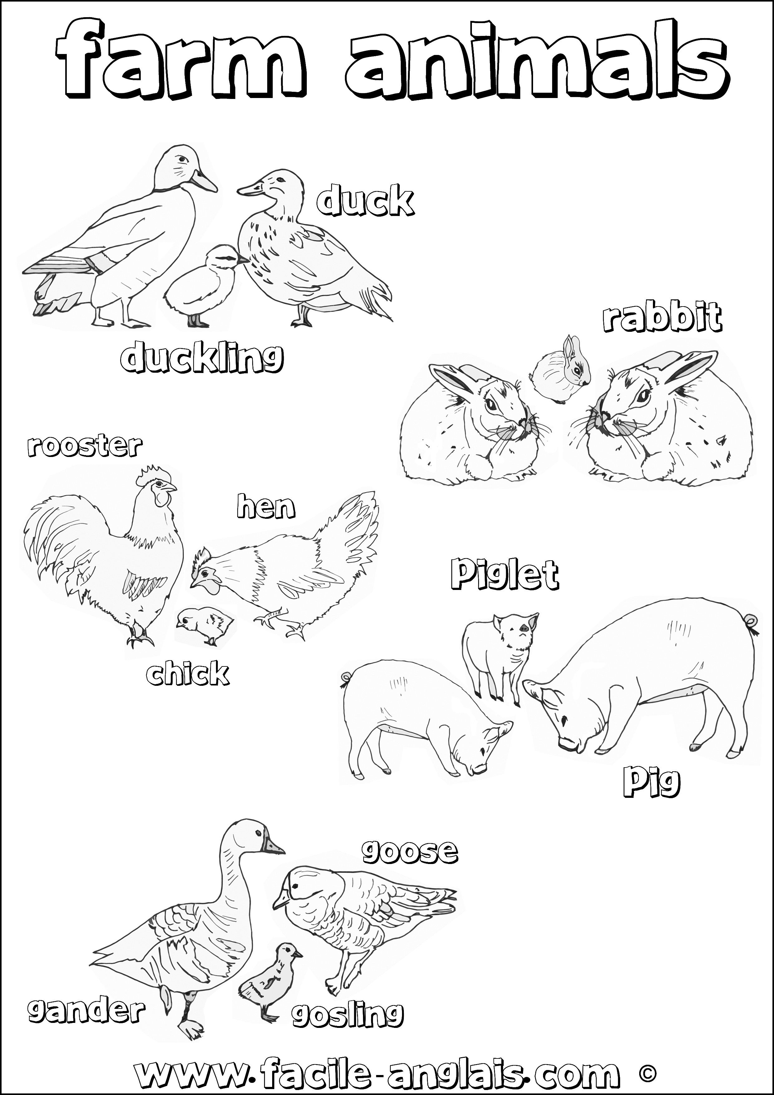 Coloriage 2 sur les Animaux de la ferme en Anglais (Farm Animals)