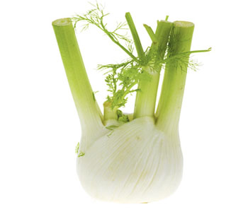 Fennel