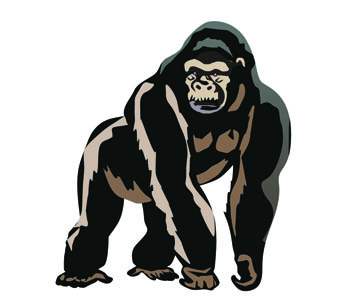 Gorilla