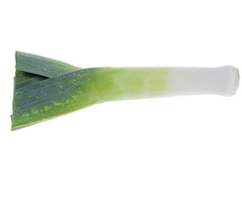 Leek