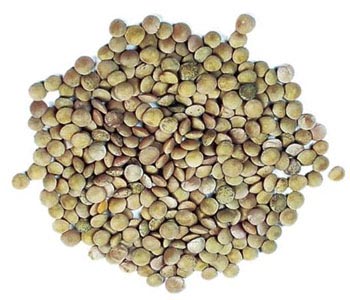 Lentils