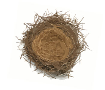 Nest