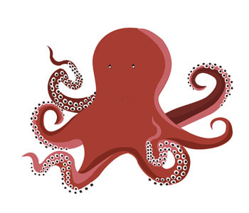 Octopus