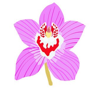 Orchid