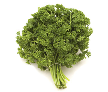 Parsley