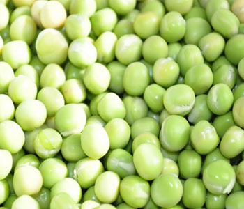 Pea