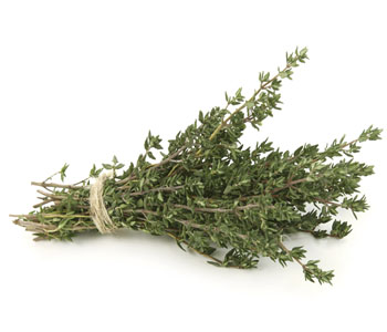 Thyme