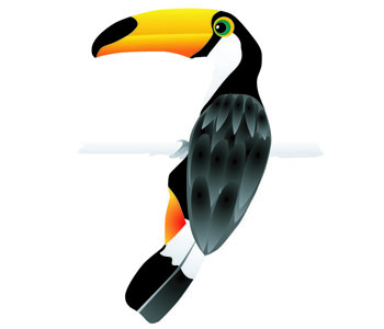 Toucan