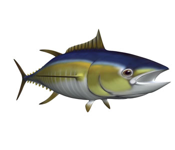 Tuna