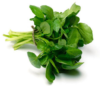 Watercress